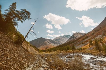 Cum de a merge la Altai