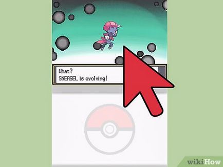 Cum de a evolua Cum de a evolua