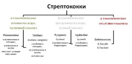 infecție streptococică la copii