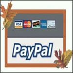 Cum să accepte PayPal
