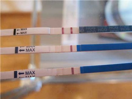 Testul de sarcină pentru a utiliza evitest