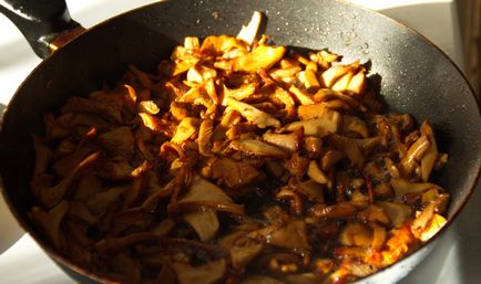 Cum de a găti chanterelle ciuperci