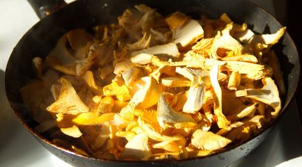 Cum de a găti chanterelle ciuperci