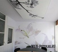Toate firmele se întind plafoane Toate firmele se întind plafoane