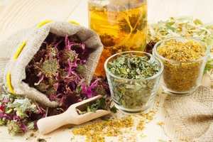 remedii populare vegetative tratament distonia