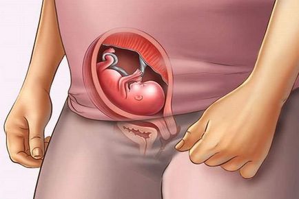 Cum se simte uterul