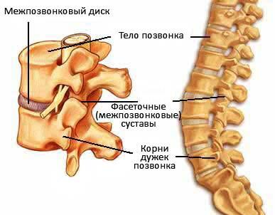 Care sunt semnele osteocondrozei