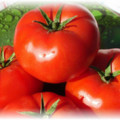 Fructele de tomate
