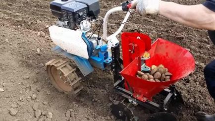 Cum să planteze cartofi în motor bloc