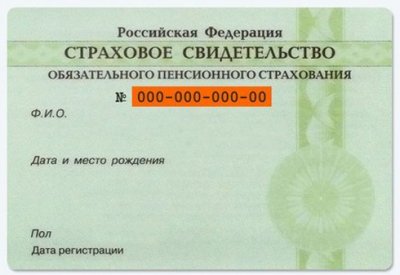 Cum de a verifica snils Cum de a verifica snils