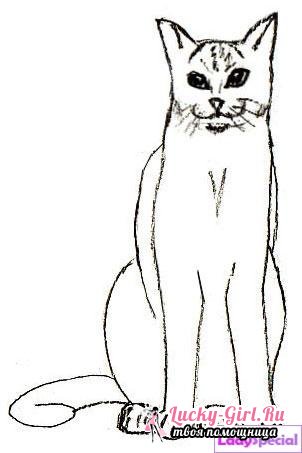 Creion pisica desen