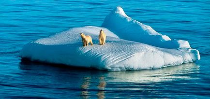 Ce este în ocean Ce este în ocean