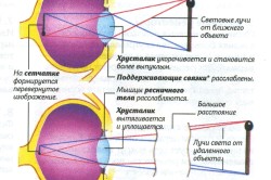 Ce este cyclospasm