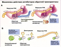 HIV tratament preventiv