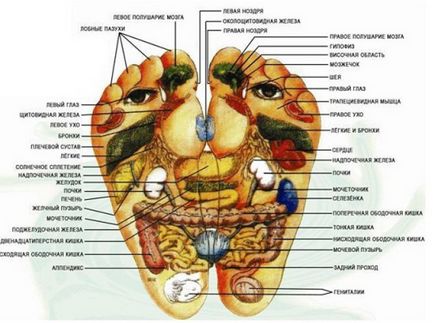 Terapia Sudzhok la domiciliu Terapia Sudzhok la domiciliu