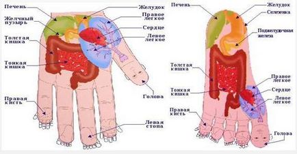 Terapia Sudzhok la domiciliu Terapia Sudzhok la domiciliu