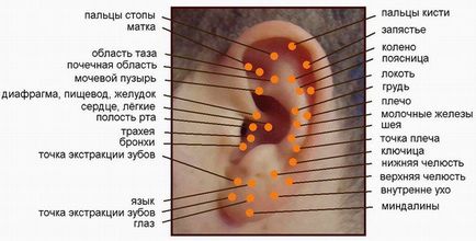 Terapia Sudzhok la domiciliu Terapia Sudzhok la domiciliu