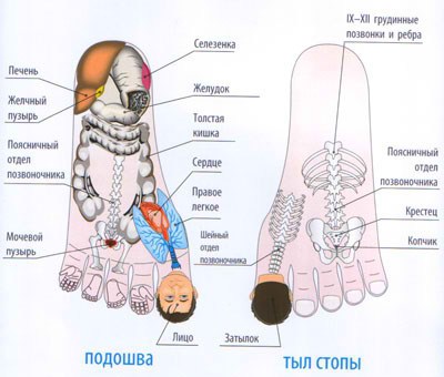Terapia Sudzhok la domiciliu Terapia Sudzhok la domiciliu