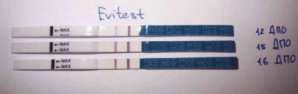 Testul de sarcină pentru a utiliza evitest