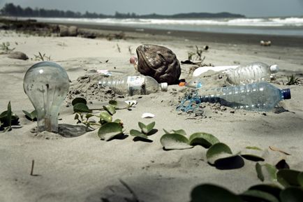 Cum natura poluării