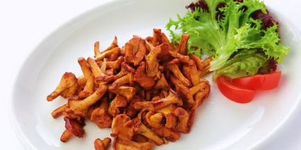 Cum de a găti chanterelle ciuperci