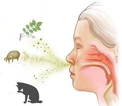 Simptomele rinitei alergice și tratament la adulți