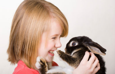 Simptomele alergice la iepuri, un copil pe un iepure decorativ