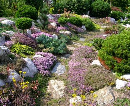 Alpine aluneca mâinile sale - o fotografie, drumul spre casă