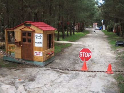 Americanul a construit un oras pentru sute de pisici - kotoff - pisica Portal (anunțuri de bord feline) Americanul a construit un oras pentru sute de pisici - kotoff - portal de pisică