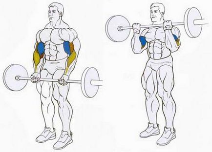 exerciții de bază pentru biceps la domiciliu