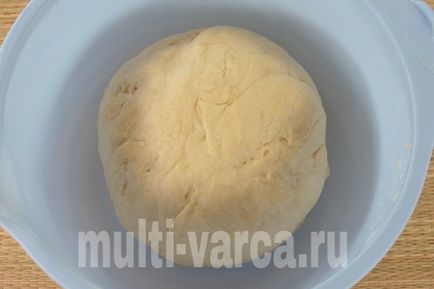 Pâine albă în multivarka Redmond