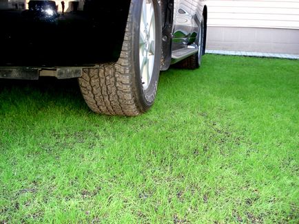 Blog - Totul despre viata la tara - Bordure de grădină de plante (sol vegetal) Blog - Totul despre viata la tara - planta o grădină de frontieră