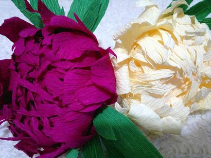 flori mari de hârtie pentru a decora sala cu clearance-ul mâinile, pampoane volumul său și master-class