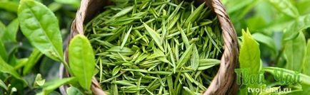 Utile decât extract de ceai verde, rolul catechine și efectul lor asupra organismului