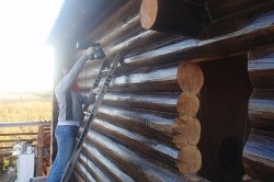 Impregna lemnul de putrezire produce distrugerea produselor din lemn