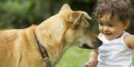 Ce se poate face în cazul în care un copil este frică de câini - psiholog