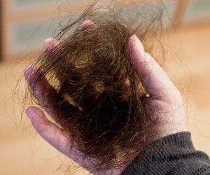 Ce să fac dacă părul cad smocuri de cele mai eficiente metode de combatere