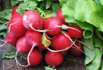 Ce poate fi pus lângă căpșuni este bun și rău cartier din grădină