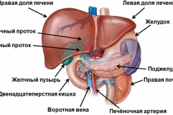 RMN arată că ficatul și tractul biliar