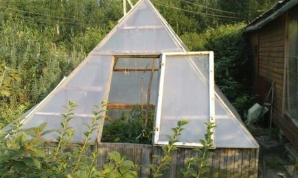 Că planta în plantarea sera amestecate (amestec) Ce a planta în plantarea sera mixt