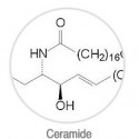 Care sunt ceramide (ceramide) Ce este ceramide