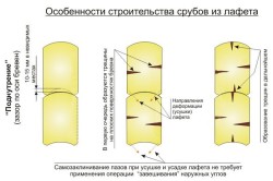 Care este utilizarea de pistol-transport în construcția tehnologiei norvegiene