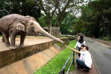 Care este caracteristicile grădina zoologică