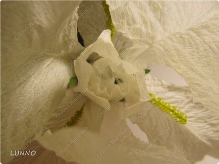 Florile din lunno crep de hârtie cusătoreasă