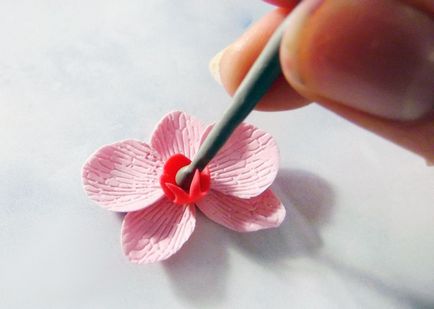 Flori dintr-un porțelan rece cu mâinile lor (pas cu pas fotografie) (China) Flori dintr-un porțelan rece cu mâinile lor (pas cu pas fotografii)