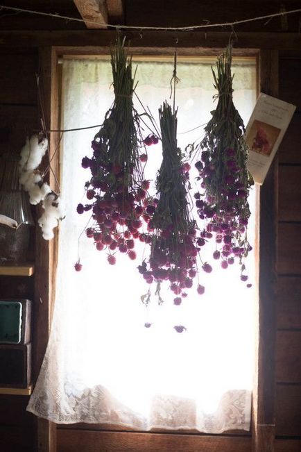 Flori în bucătărie - un interior solemn în fiecare zi! 44 fotografie