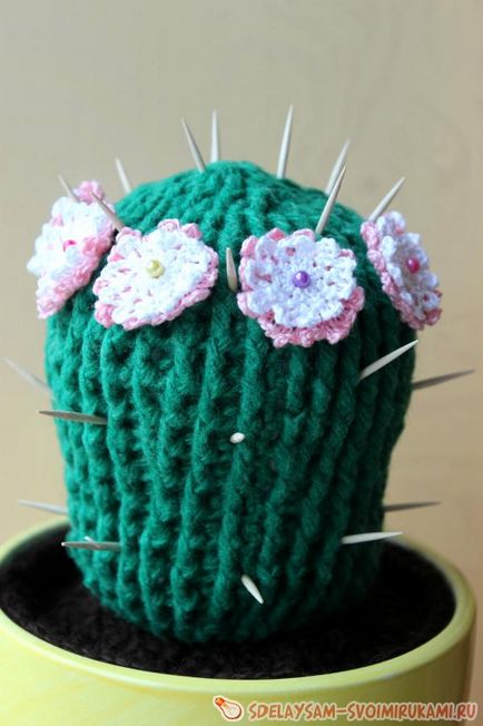 Blooming cârlig cactus, master-class cu propriile lor mâini