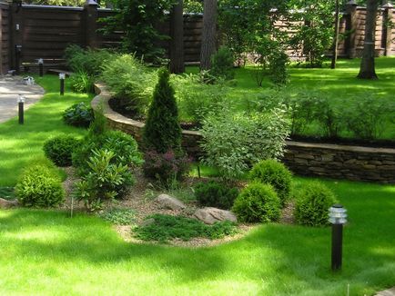 arbuști ornamentali pentru grădină, design peisagistic de grădină diferite compoziții de copaci,