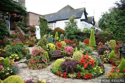 arbuști ornamentali pentru grădină și grădină