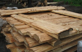 lemn Zebrano